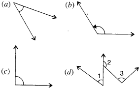 NCERT Solutions for Class 6 Maths Chapter 5 Understanding Elementary Shapes 11